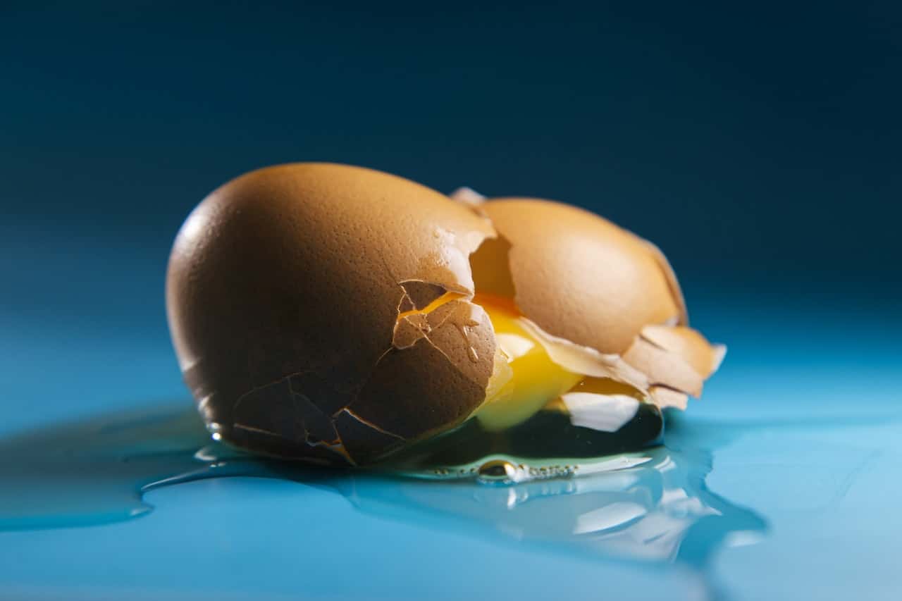 cracked egg